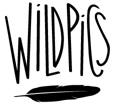 Wildpics-Logo